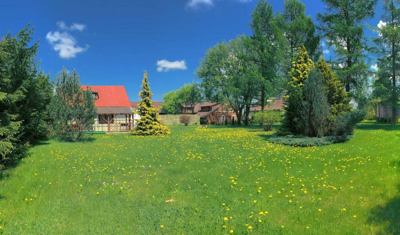 Agroturystyka Falinka Wizajny Экстерьер фото